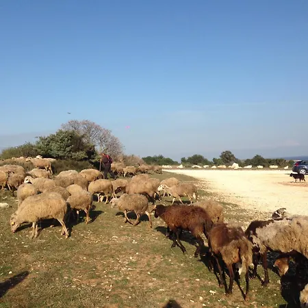 Premantura,natura,rt Kamenjak Appartamento Premantura